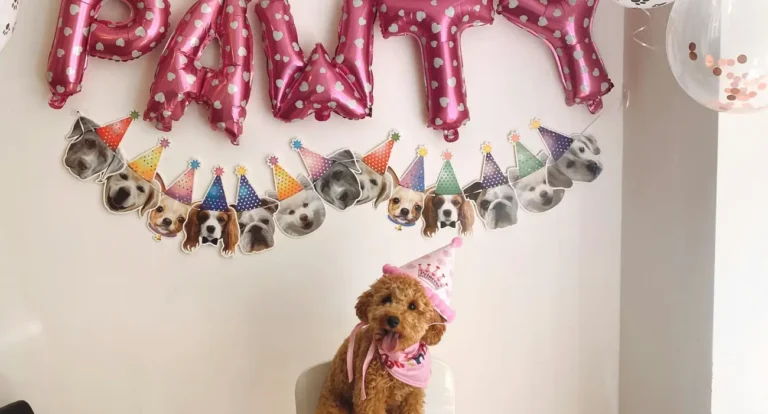 Dog Birthday Party Ideas