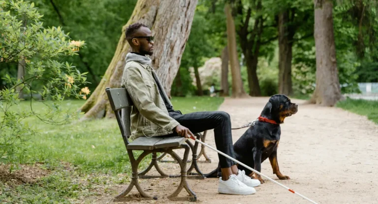 How to Successfully Train a Service Dog