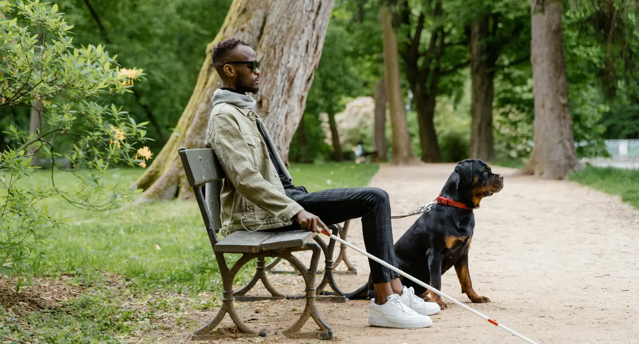How to Successfully Train a Service Dog